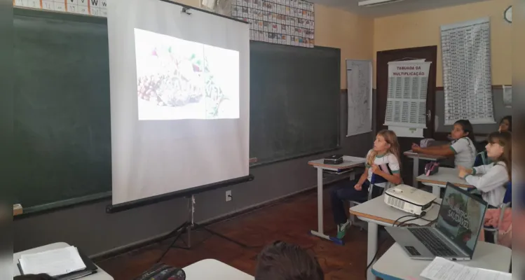 Confira, nesta galeria, o amplo trabalho desenvolvido em várias etapas.