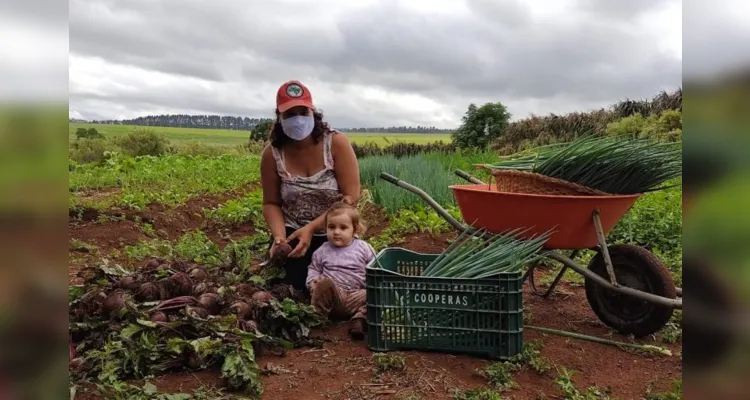 Estão sendo reformados e construídos novos espaços comunitários, como quiosques, espaço de Saúde Popular, banheiros e também o novo barracão da cooperativa.