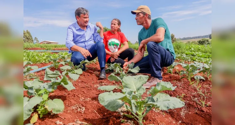 Em PG, ministro incluirá 2,5 mil famílias do PR no 'Fomento Rural'