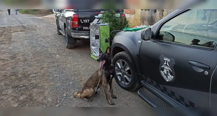 Operação foi deflagrada na manhã desta quinta-feira (04)