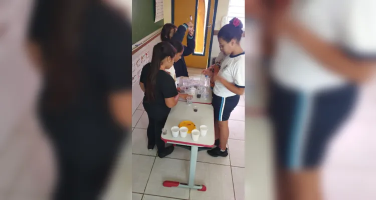 Dois tipos de experimentos foram realizados e estudantes puderam ter noções mais amplas da proposta.