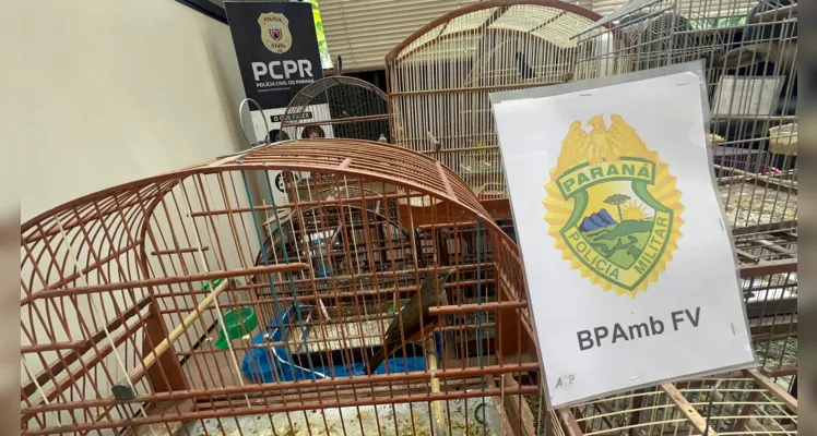 Polícia apreende cerca de R$ 12 mil em aves nativas no Cará-Cará