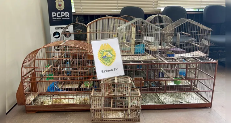 Polícia apreende cerca de R$ 12 mil em aves nativas no Cará-Cará