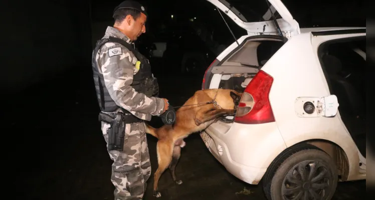 Operação contou com o apoio de um cão farejador