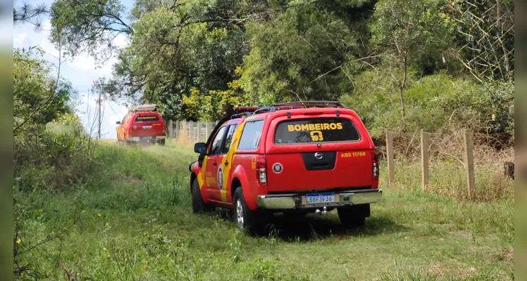 Até o momento a arma não foi localizada. As equipes devem retornar a tarde para continuar a procura. 