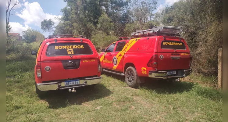 Até o momento a arma não foi localizada. As equipes devem retornar a tarde para continuar a procura. 