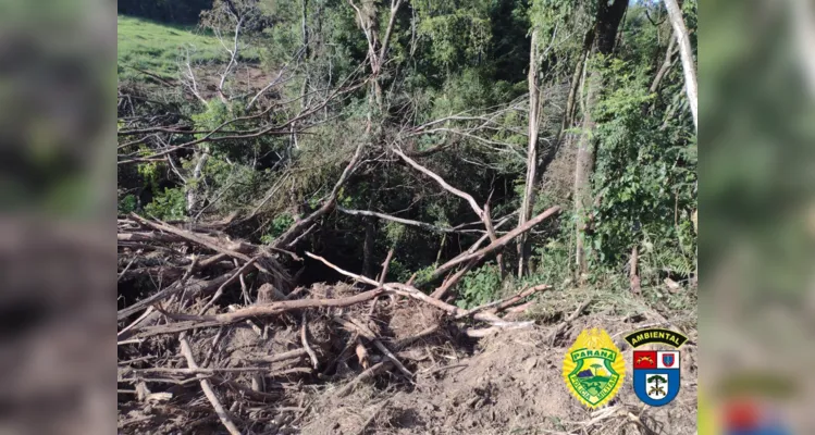 Foi constatado queima e corte de vegetação nativa.