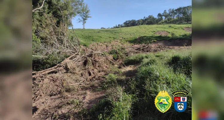 Foi constatado queima e corte de vegetação nativa.