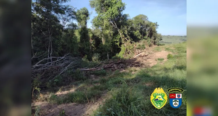 Foi constatado queima e corte de vegetação nativa.