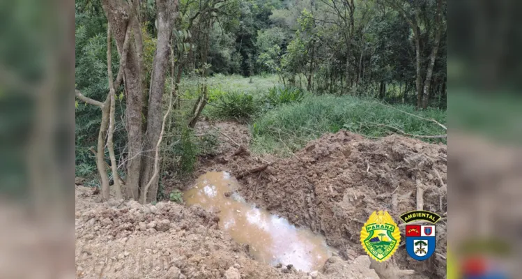 Foi constatado queima e corte de vegetação nativa.