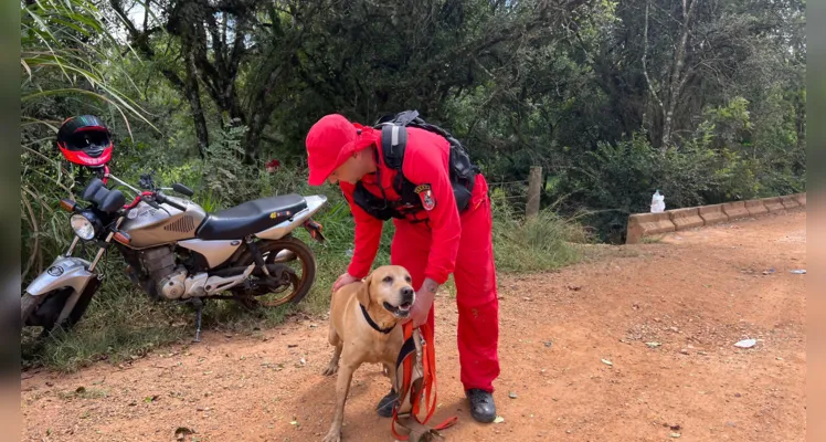 O Grupo de Operações de Socorro Tático (GOST), de Curitiba, do Corpo de Bombeiros foi acionado para realizar as buscas com auxílio de cães.