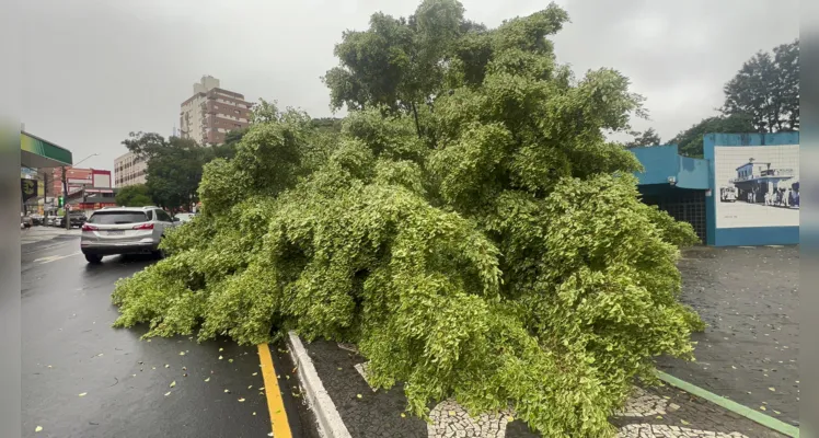 O trânsito na rua Saldanha Marinho segue em meia pista.