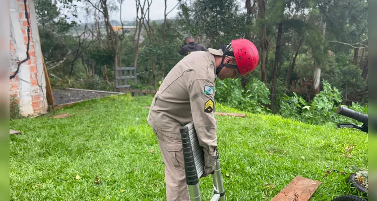 Árvore caiu durante o temporal que atingiu Ponta Grossa na tarde desta quinta-feira (21)