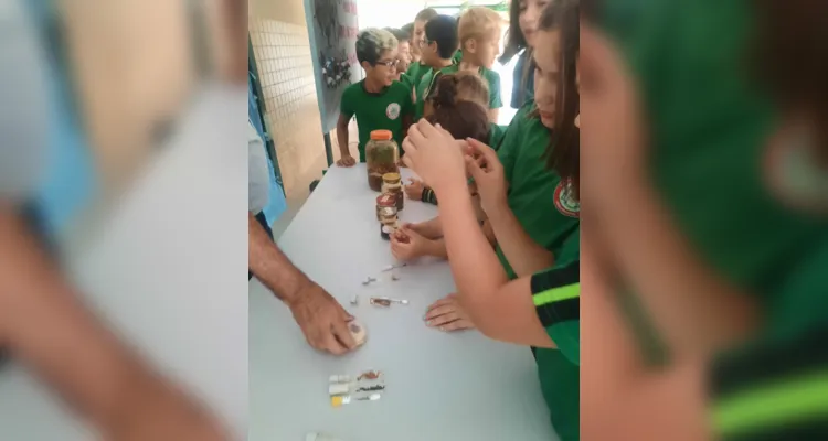 Conceitos concretos aplicados durante evento contra o mosquito contribuíram de forma efetiva no ensino.