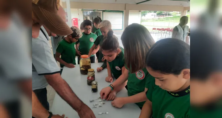 Conceitos concretos aplicados durante evento contra o mosquito contribuíram de forma efetiva no ensino.