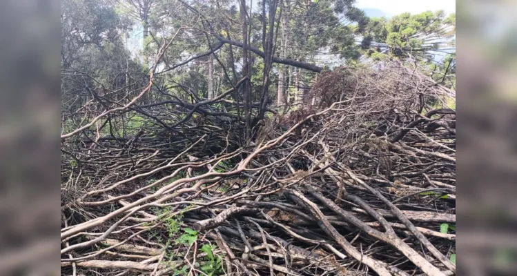 A queima foi realizada sem autorização do órgão ambiental competente.