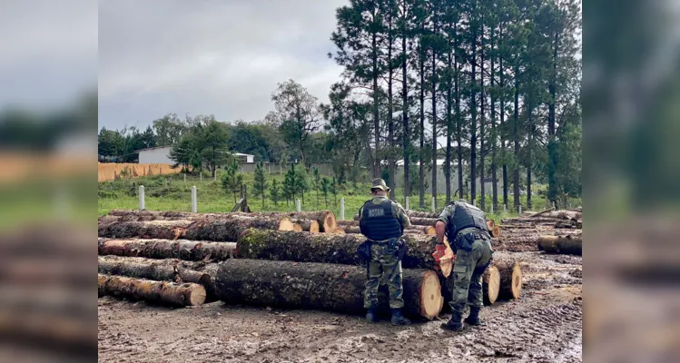 O intuito é verificar os ilícitos ambientais e coibir qualquer ação criminosa que envolva qualquer aspecto ambiental.