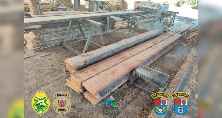  99m³ de madeira foram apreendidas na operação