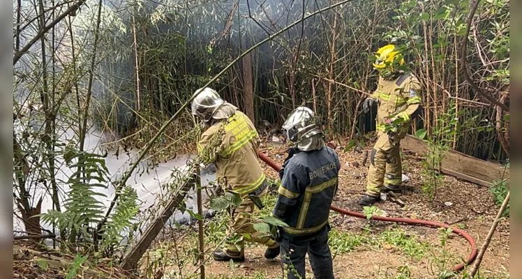 Incêndio em residência na 'Ronda' mobiliza Bombeiros em PG