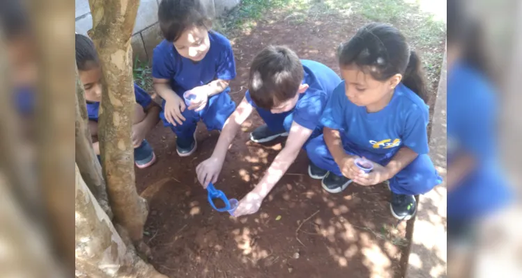 A turma realizou o acompanhamento diária das plantas, fazendo anotações e tomando os cuidados devidos.