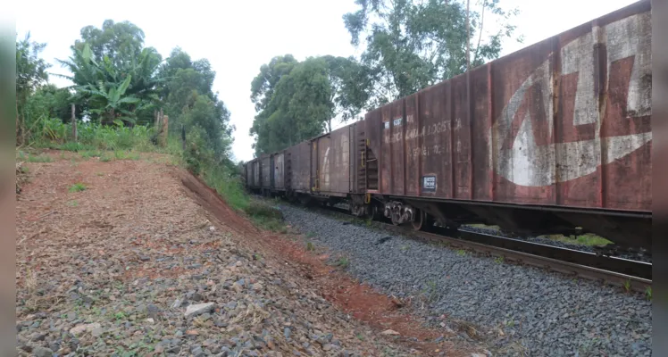 Vítima ficou em estado grave após ser atropelada pelo trem 