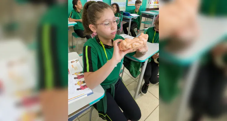 Estudantes puderam explorar características dos sistemas estudados de forma objetiva.