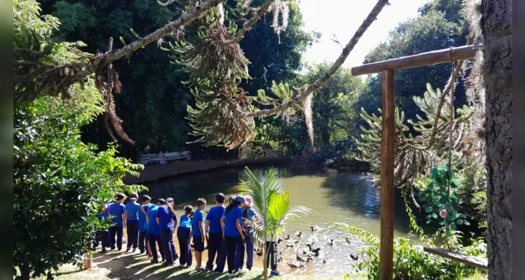 O local propiciou experiências novas aos alunos, como o contato com a natureza e diversos animais.