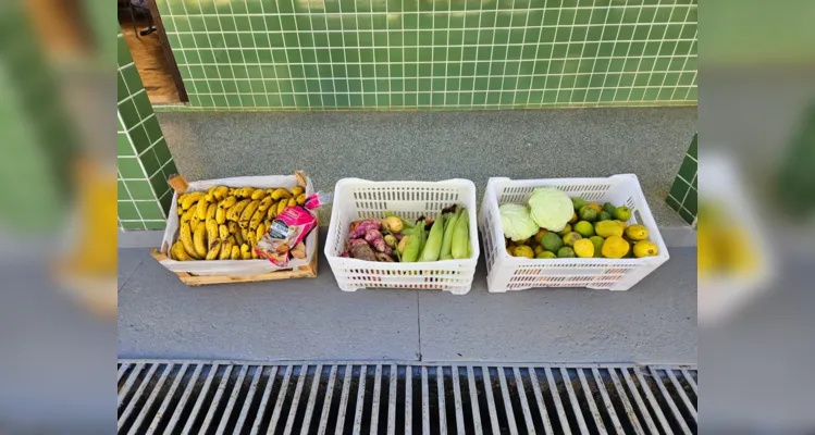O trabalho dos alunos acontece em duas etapas, com a coleta dos resíduos em diversos locais e futura troca por alimentos saudáveis em uma feira. 