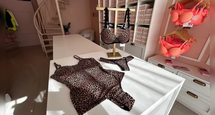 A Duzani Lingerie, uma das mais importantes franquias de moda íntima, está à procura de mulheres que queiram ser consultoras de venda em Ponta Grossa e região