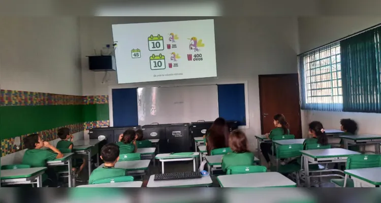 Confira os registros do trabalho com a videoaula e fora da sala de aula.