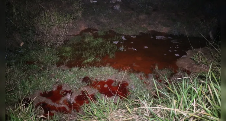 Caminhoneiro 'se perde', atinge poste e sai da pista em PG