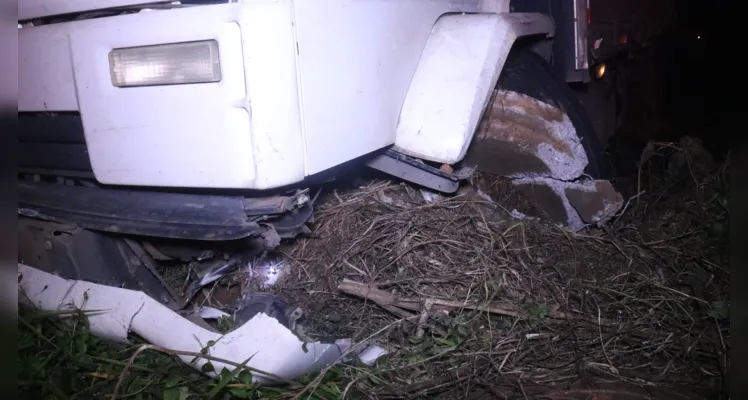 Caminhoneiro 'se perde', atinge poste e sai da pista em PG
