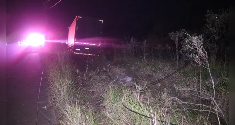 Caminhoneiro 'se perde', atinge poste e sai da pista em PG