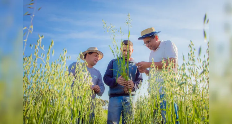 Com boas práticas, Fazenda Escola reduz emissão de carbono no ar