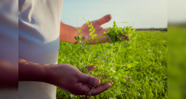 Com boas práticas, Fazenda Escola reduz emissão de carbono no ar