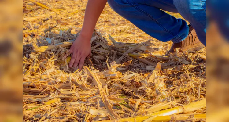 Com boas práticas, Fazenda Escola reduz emissão de carbono no ar