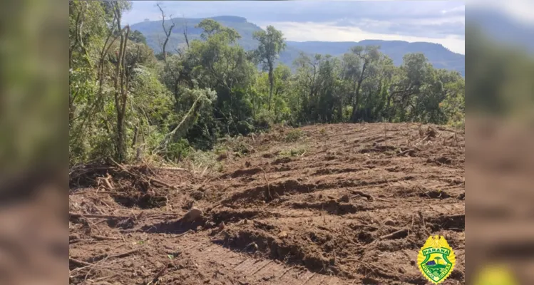 Dono de área rural é preso em flagrante e multado em R$ 295 mil