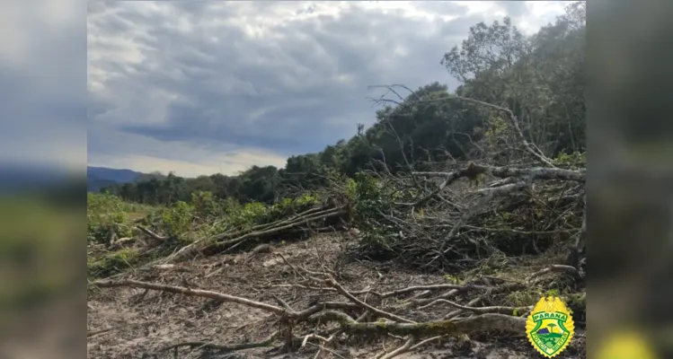 Dono de área rural é preso em flagrante e multado em R$ 295 mil