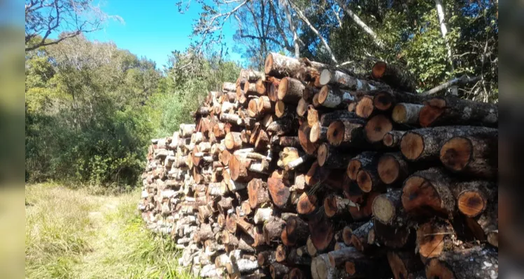 E em Imbituva os policiais ambientais constataram em uma propriedade na localidade de Barra do Zampier, a destruição de vegetação nativa em área correspondente a 5,80 hectares