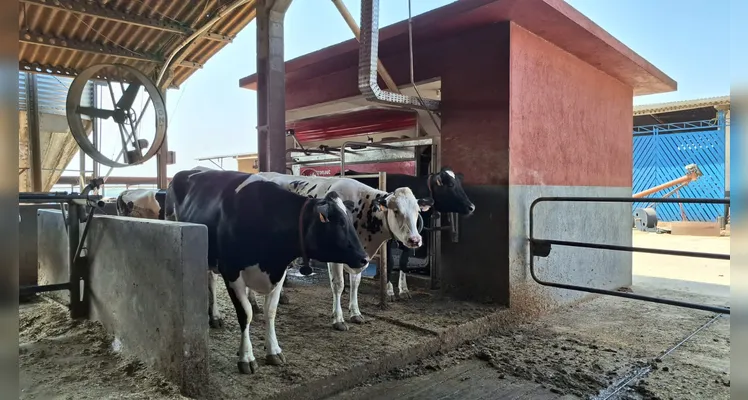 Missão está visitando fazendas leiteiras na região