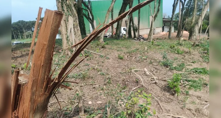 Em Castro, a Polícia Ambiental recebeu denúncia de dano em vegetação nativa mediante corte de sub-bosque e destoca em área correspondente a 0,77 hectare