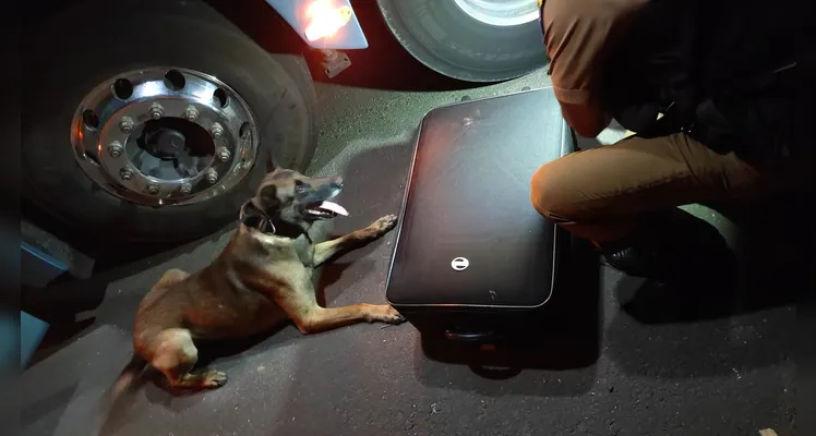 Cão Maximus indicou a mala onde foram localizados mias de 10 quilos de maconha