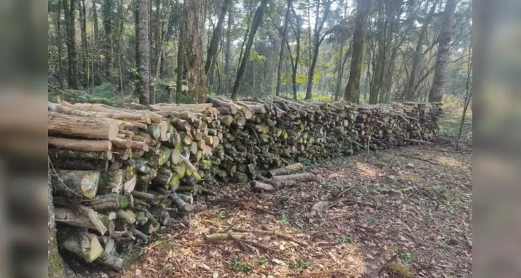 Na propriedade foram apreendidos 9,40 metros cúbicos de lenha nativa