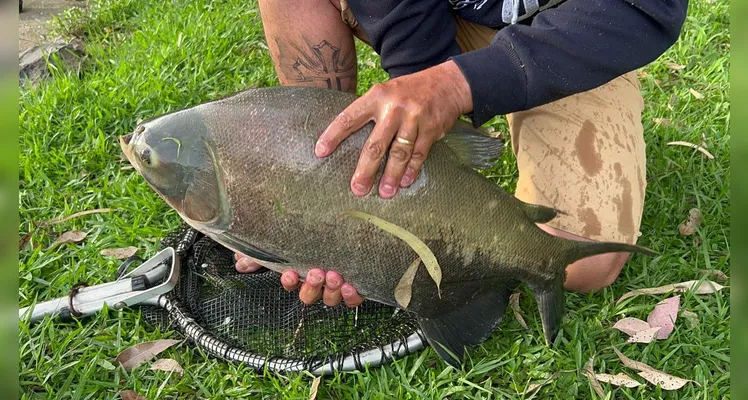 Organizadores prometem diversas espécies de peixes no local