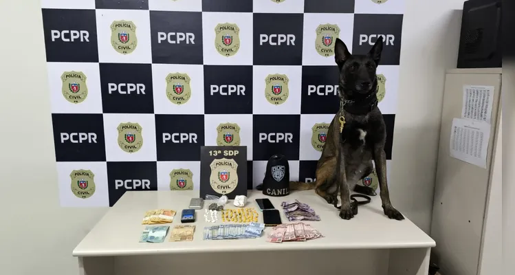 Foram apreendidas drogas do tipo crack, cocaína e maconha, localizadas pelo cão farejador Bolt do Grupo de Operações com Cães da GCM