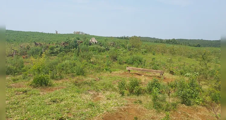 Danos ambientais foram constatados na Serra da Esperança em Guarapuava