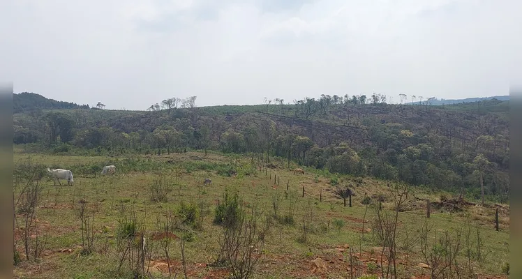 Danos ambientais foram constatados na Serra da Esperança em Guarapuava