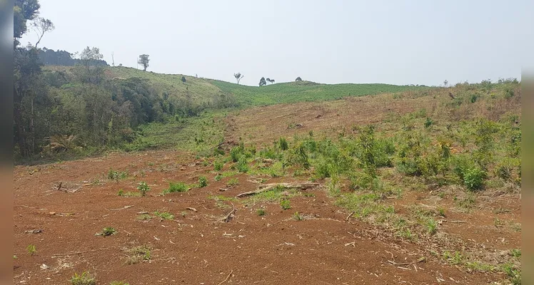 Danos ambientais foram constatados na Serra da Esperança em Guarapuava