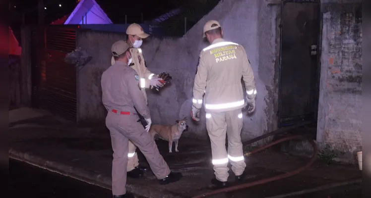 Incêndio aconteceu na noite desse domingo (12)