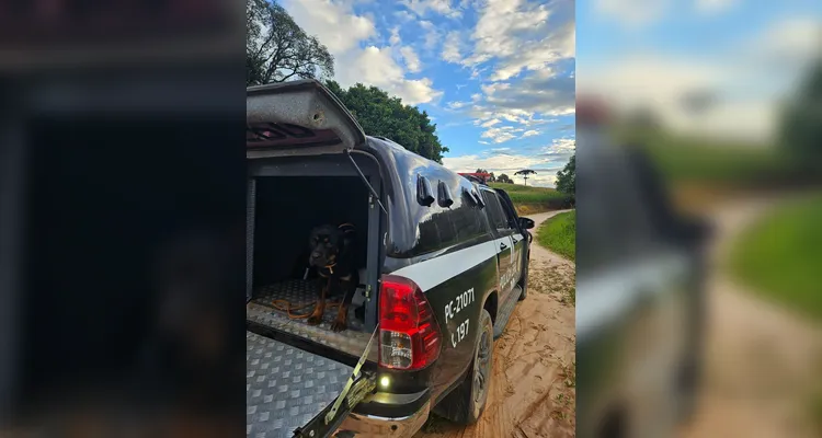 Além das prisões dos envolvidos, foram recuperados diversos objetos subtraídos, dentre eles uma motocicleta furtada em Carambeí no início deste mês, máquinas de lavar roupas, celulares, computadores, ferramentas, aparelhos de som, televisores e utensílios domésticos